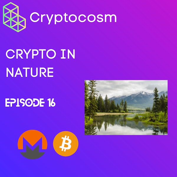 Crypto In Nature -Natural Habits & Repetitions of Critics,HODLers & The Cryptocurrency Markets