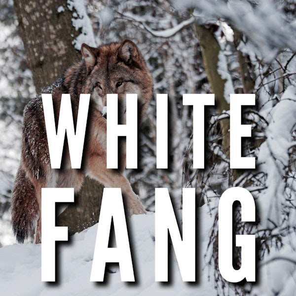 WHITE FANG (8) by Jack London | ASMR for ptsd relief