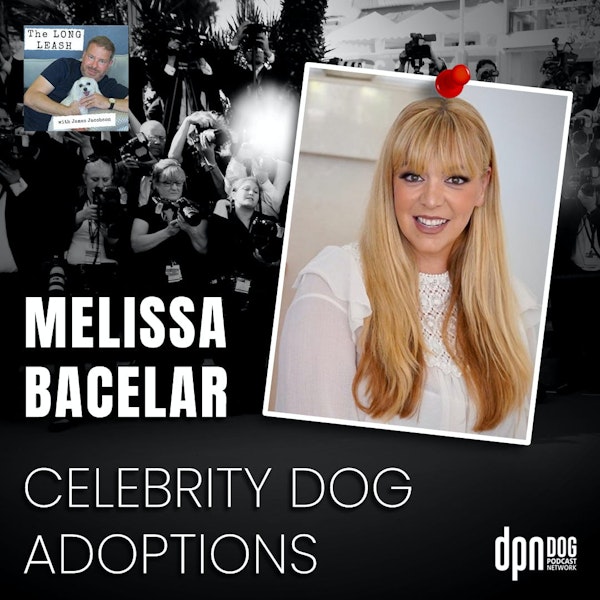 Celebrity Dog Adoptions with Melissa Bacelar | The Long Leash #21