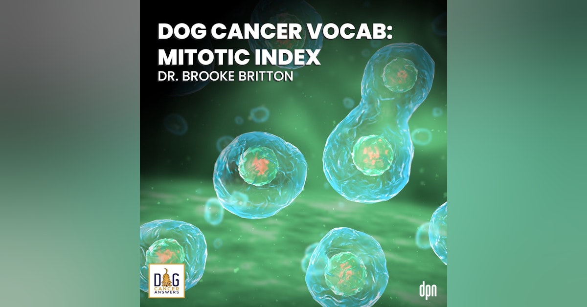 Dog Cancer Vocab: Mitotic Index | Dr. Brooke Britton