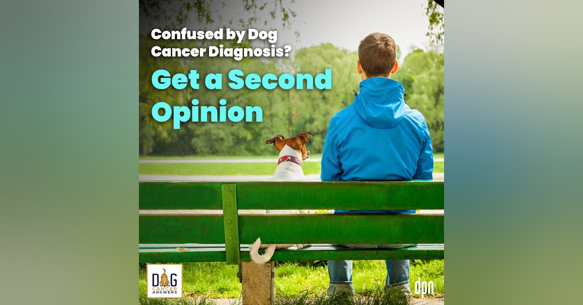 Confused by Dog Cancer Diagnosis? Get a Second Opinion | Dr. David Vail #190