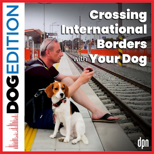 Crossing International Borders with Your Dog | Dog Edition #54
