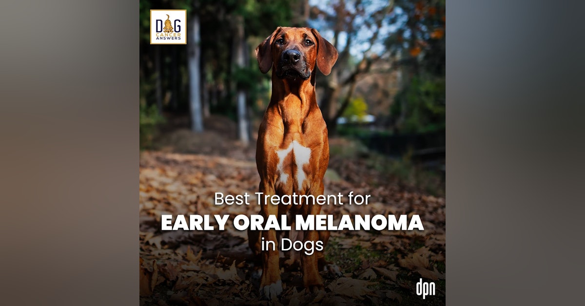 Best Treatment for Early Oral Melanoma in Dogs | Dr. Brooke Britton #193