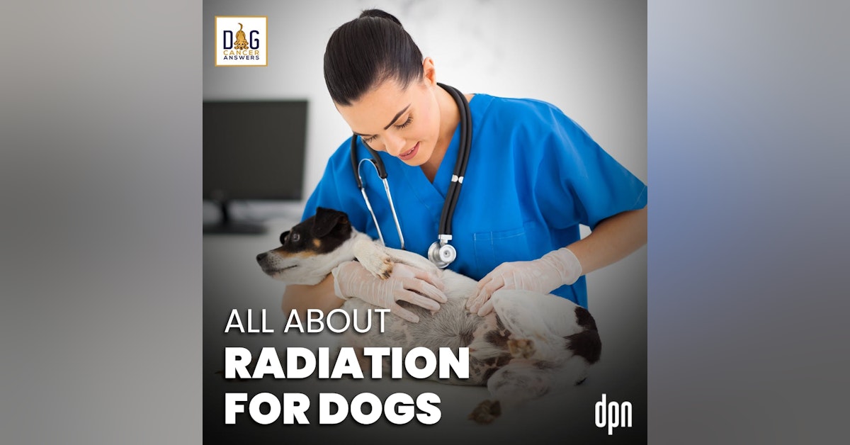 All About Radiation for Dogs | Jenny Fisher #178