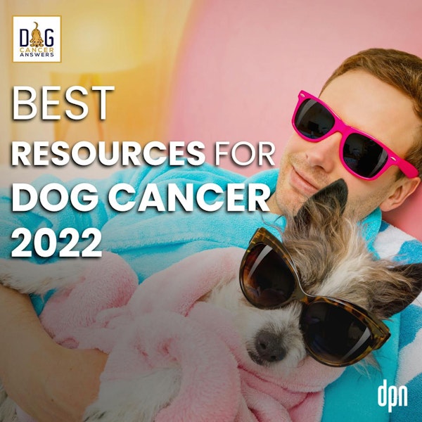 Best Resources for Dog Cancer 2022 | Molly Jacobson and Kate Basedow