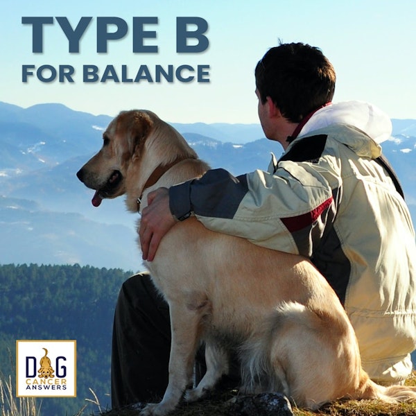 How Type B for Balance Treats Dog Cancer | Molly Jacobson Deep Dive