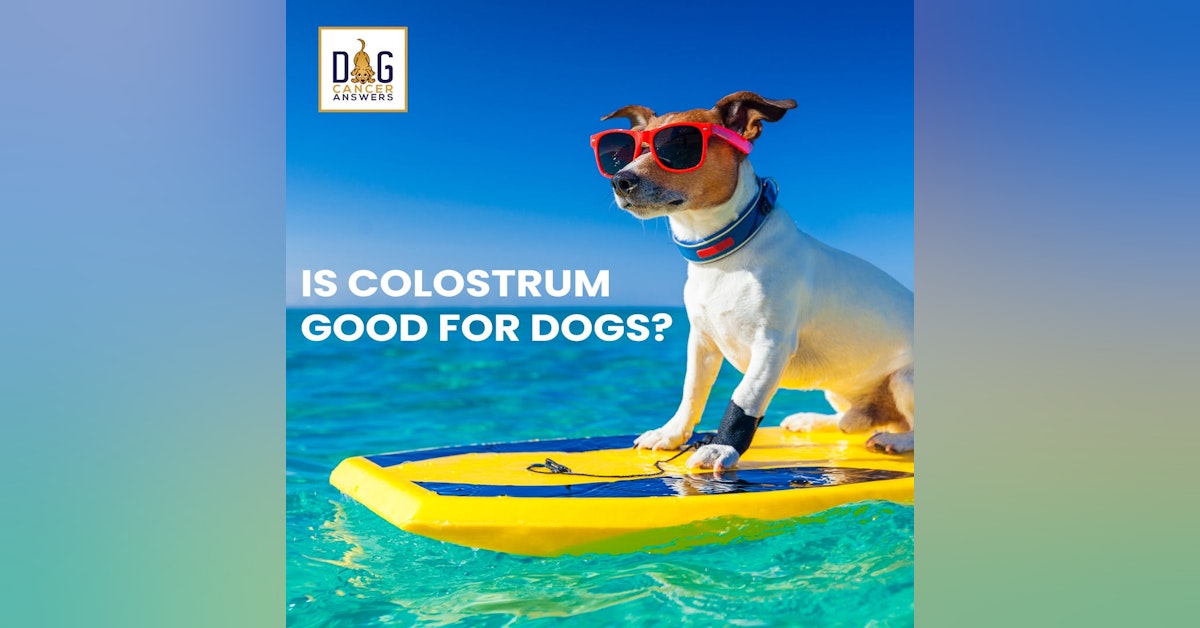 Is Colostrum Good for Dogs? │ Dr. Nancy Reese Q&A