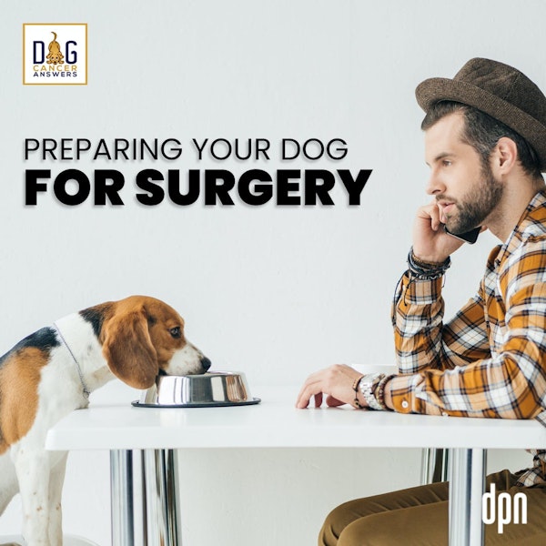 Preparing Your Dog for Surgery | Kate Basedow Deep Dive
