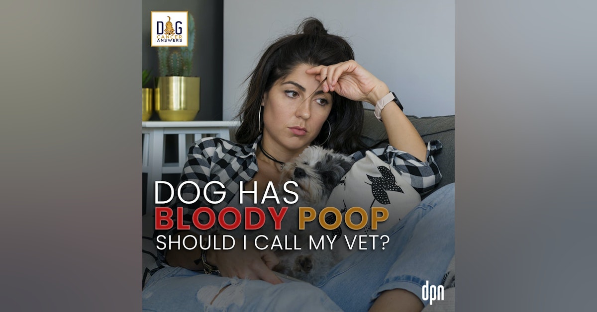 Dog Has Bloody Poop: Should I Call My Vet? | Dr. Nancy Reese Deep Dive
