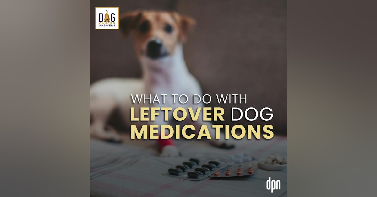 What To Do With Leftover Dog Medications | Dr. Nancy Reese Deep Dive