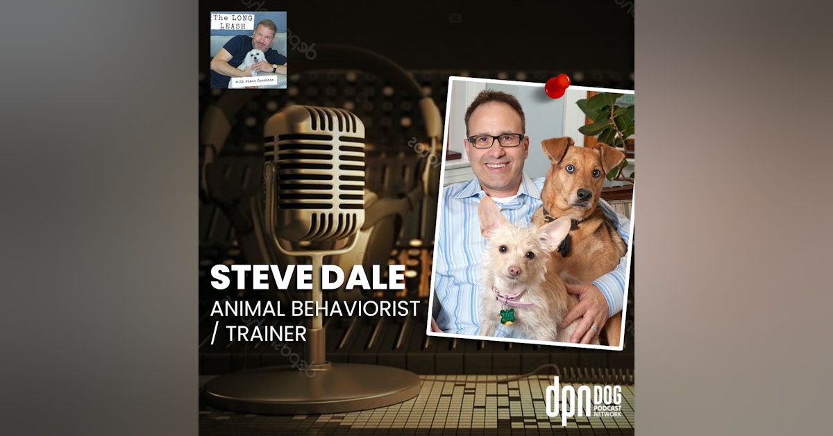 Steve Dale - Animal Behaviorist & Trainer | The Long Leash #17