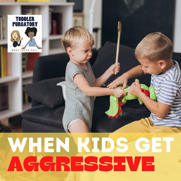 When Kids Get Aggressive