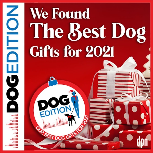 We Found the Best Dog Gifts for 2021 | Dog Edition #43