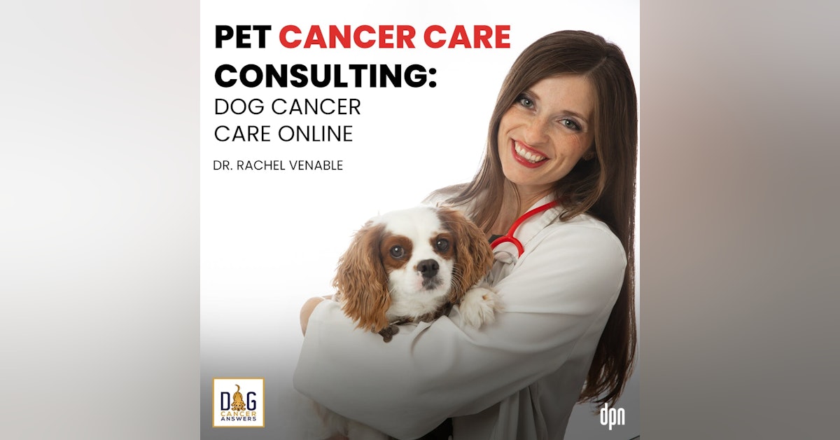 Pet Cancer Care Consulting: Dog Cancer Care Online | Dr. Rachel Venable
