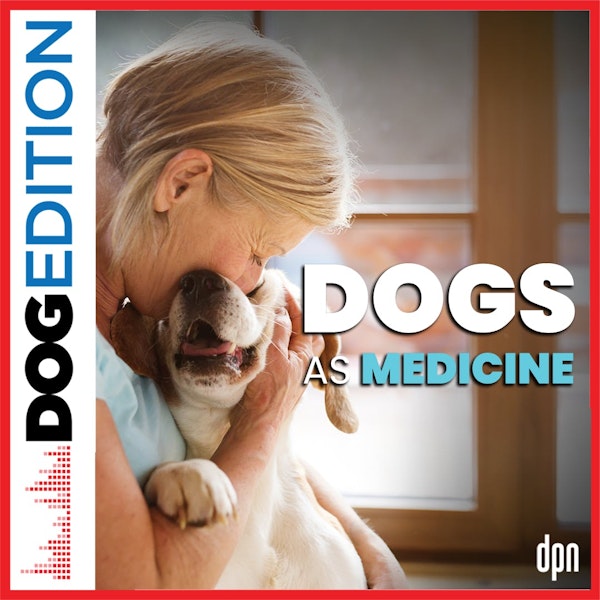 Dogs as Medicine | Dog Edition #53
