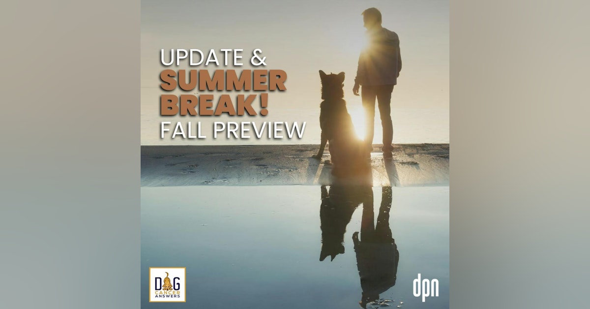 Summer Break! Update & Fall Preview | Molly Jacobson #180