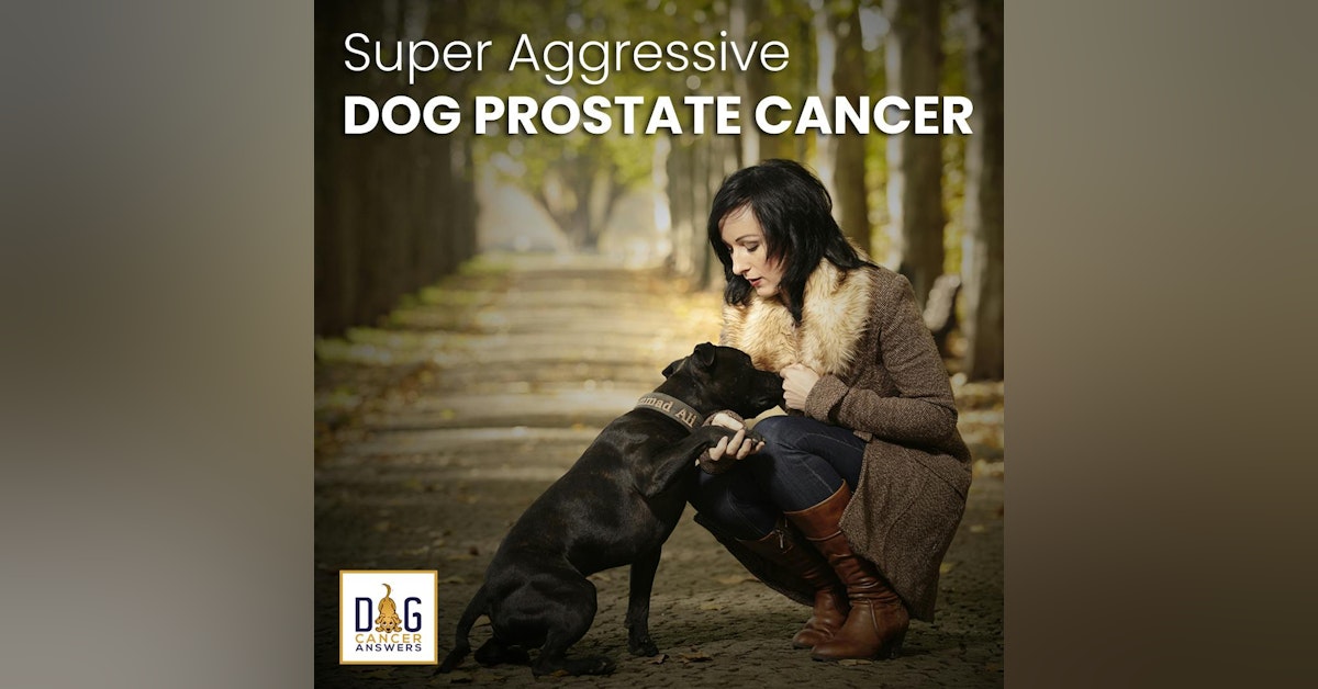 Super Aggressive Dog Prostate Cancer | Dr. Demian Dressler Q&A