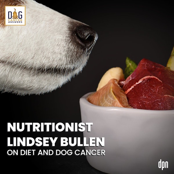 Nutritionist Lindsey Bullen on Diet and Dog Cancer | Dr. Lindsey Bullen