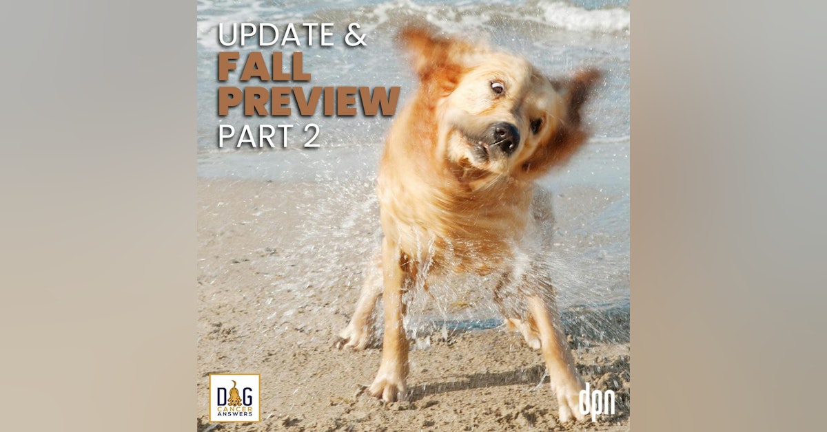 Update & Fall Preview Part 2 | Molly Jacobson #182