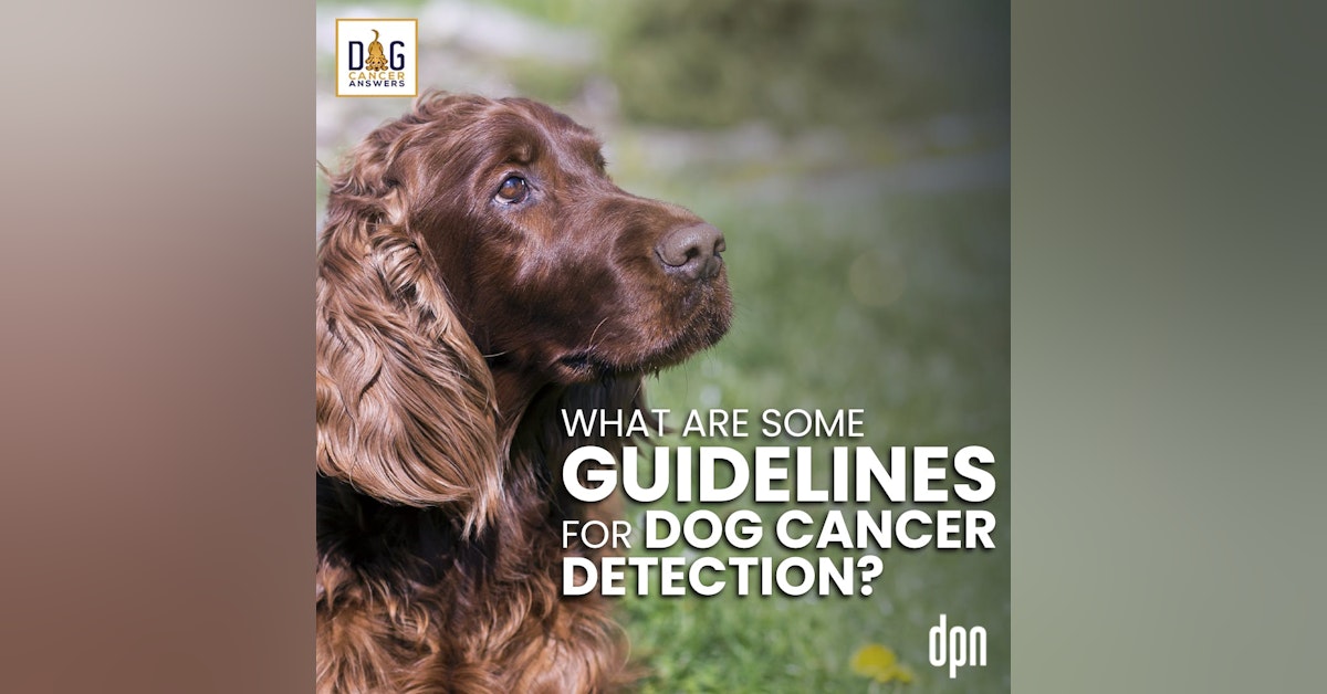 What Are Some Guidelines for Dog Cancer Detection? Q&A | Dr. Brooke Britton #174