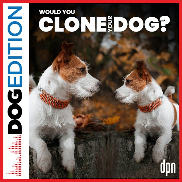 Would You Clone Your Dog? | Dog Edition #40