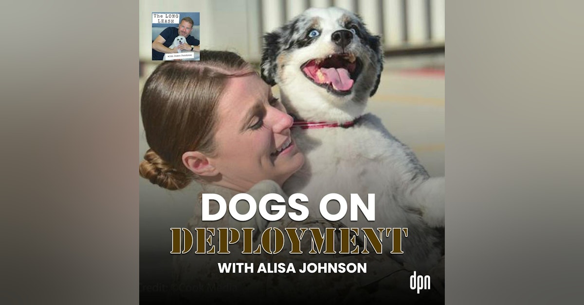 Dogs on Deployment with Alisa Johnson | The Long Leash #051