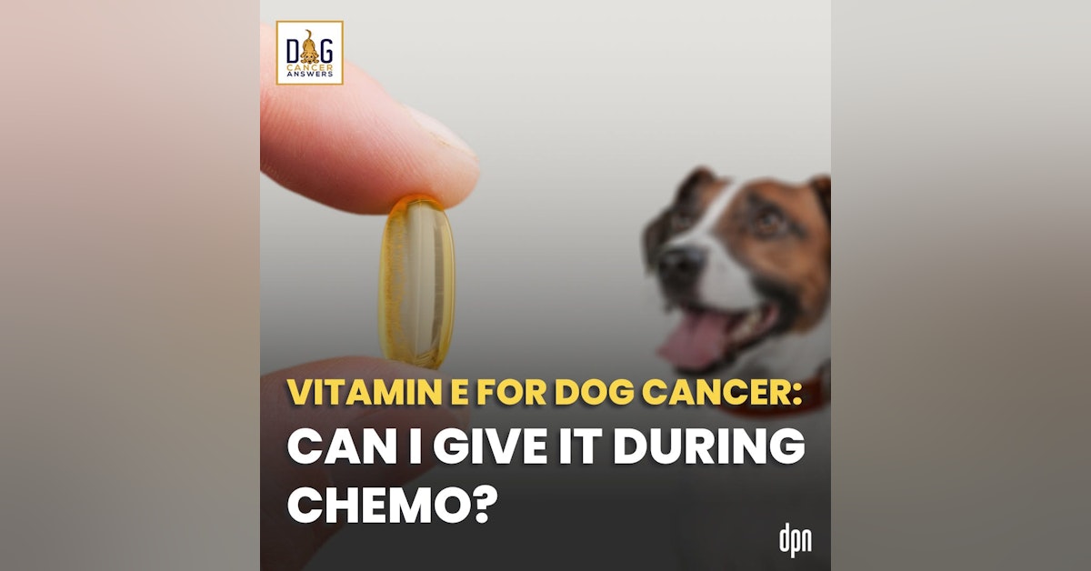 Vitamin E for Dog Cancer: Can I Give It During Chemo? | Dr. Nancy Reese Q&A