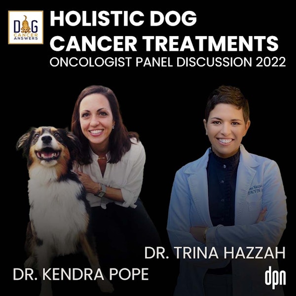 Holistic Dog Cancer Treatments: Oncologist Panel Discussion 2022 | Dr. Kendra Pope and Dr. Trina Hazzah