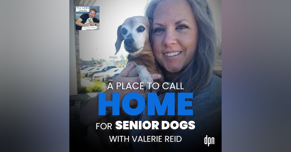 A Place to Call Home for Senior Dogs with Valerie Reid | The Long Leash #65