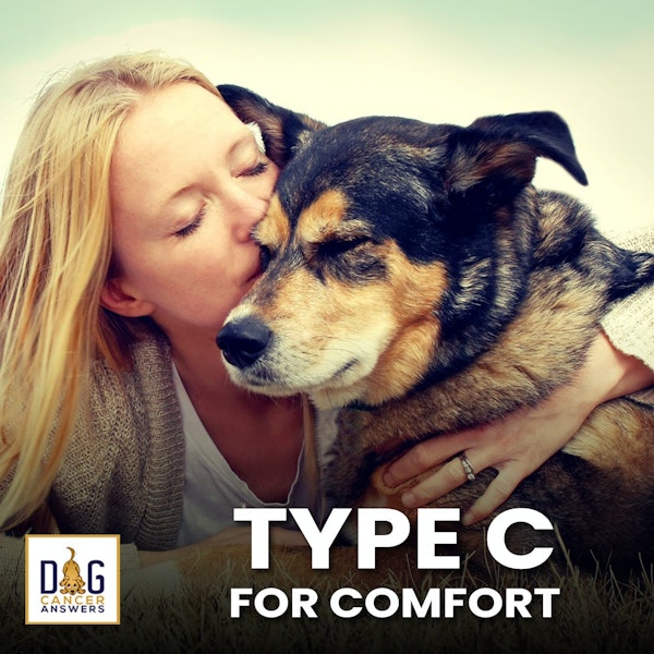 How Type C for Comfort Treats Dog Cancer | Molly Jacobson Deep Dive