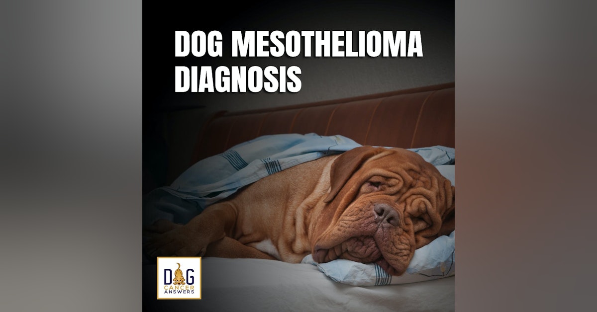 Dog Mesothelioma Diagnosis | Dr. Dressler Q&A