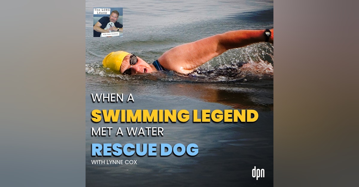 When a Swimming Legend met a Water Rescue Dog with Lynne Cox | The Long Leash #62