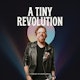 A Tiny Revolution Album Art