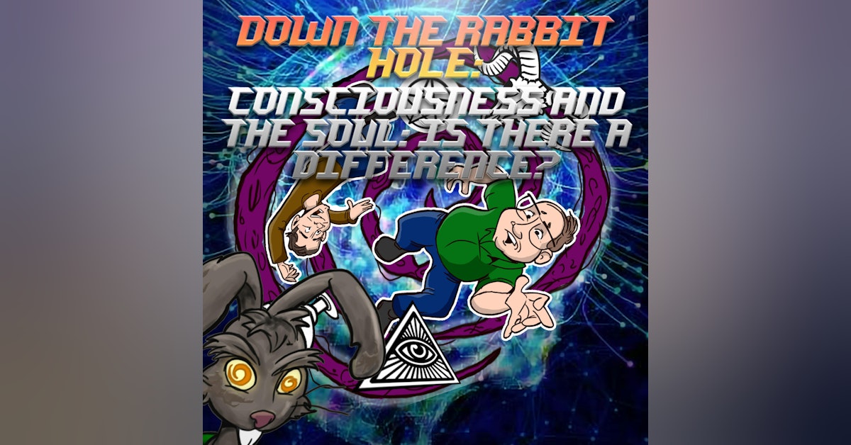 Down the Rabbit Hole: Consciousness and the Soul: Is There A Difference?