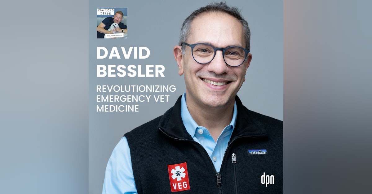 David Bessler: Revolutionizing Emergency Vet Medicine | The Long Leash #39