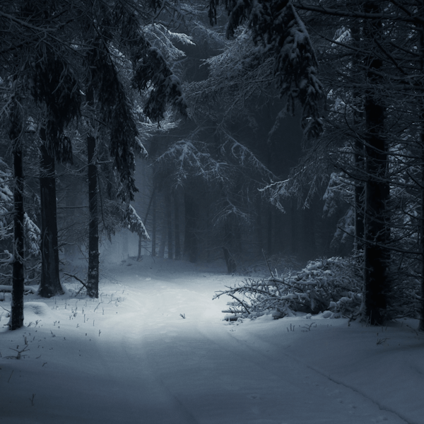 Ep. 100 - Dark Winter Image