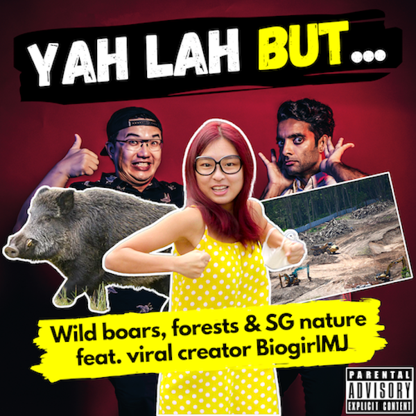 YLB #138 - A viral nature “influencer” on the Kranji forest clearing, wild boars & SG nature (feat. Biogirl MJ)