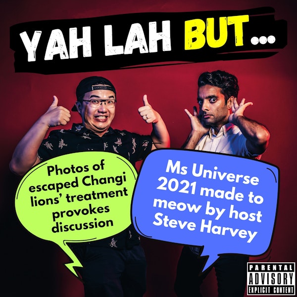 #244 - Photos of escaped Changi lions’ treatment provokes discussion & Ms Universe 2021 made to meow by host Steve Harvey