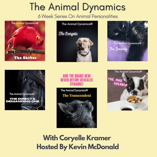 Conversations With Coryelle- Animal Dynamic's Part one- Direct and Demanding One Image