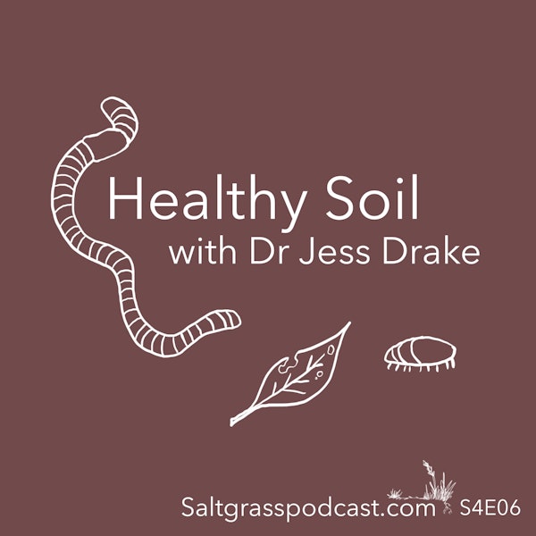 S4 E06 Healthy Soil with Dr Jess Drake Image