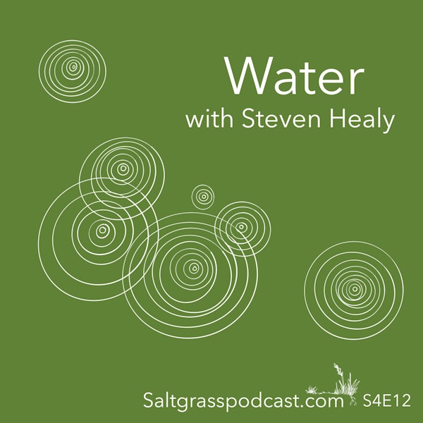 S4E12 Water with Steven Healy from Coliban Water Image