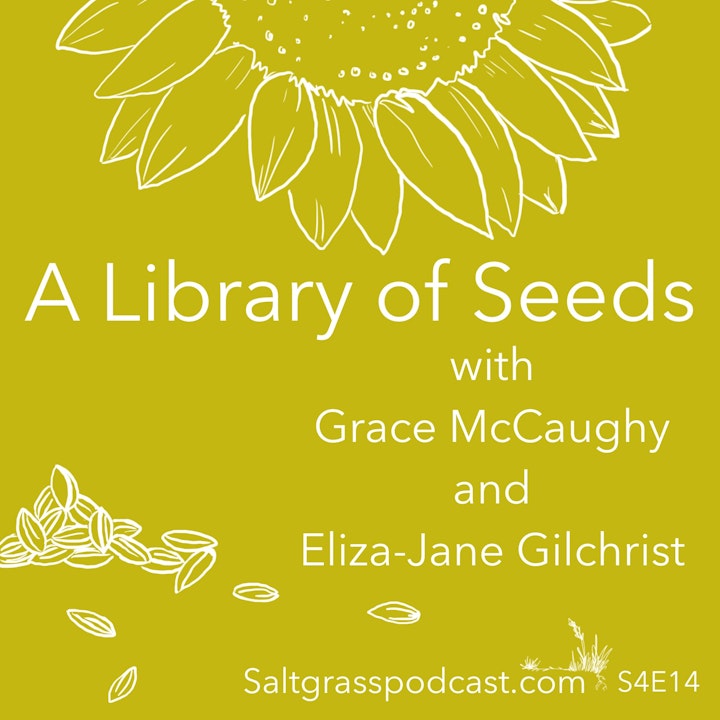 S4 E14 A Library of Seeds