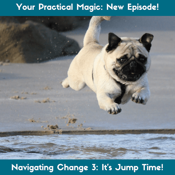 Navigating Change Part 3: It's Jump Time