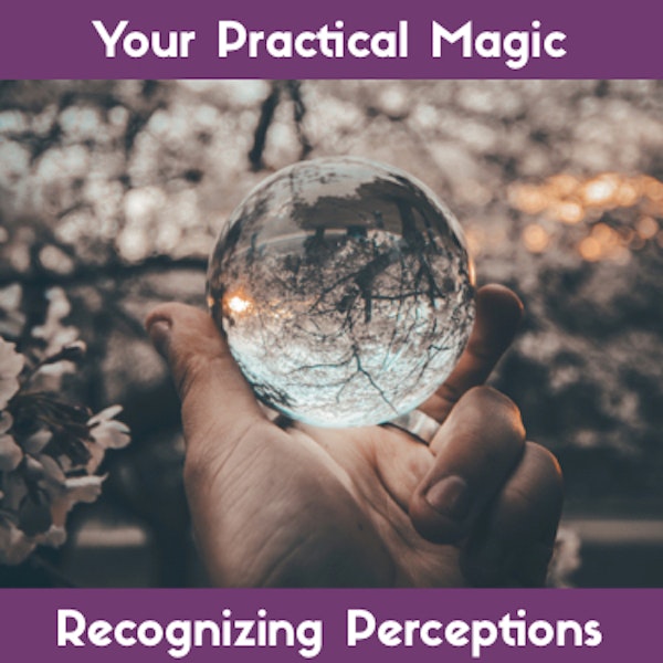 Recognizing Your Perceptions