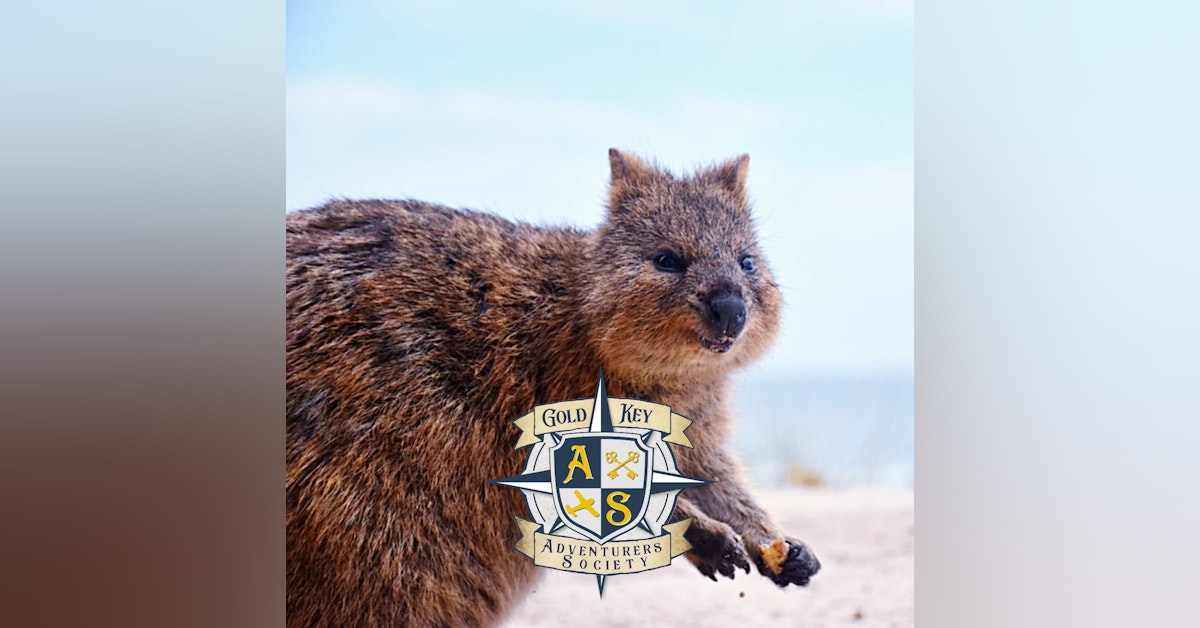 2020 Travel Trends Part 3: Rise of the Quokka