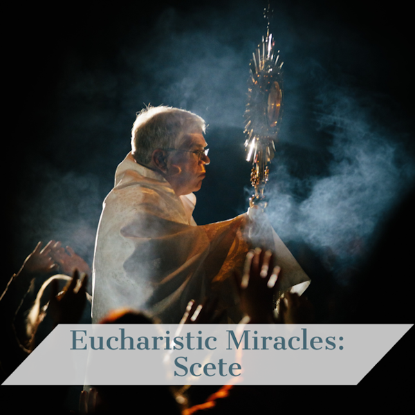 Eucharistic Miracles of the World: Scete