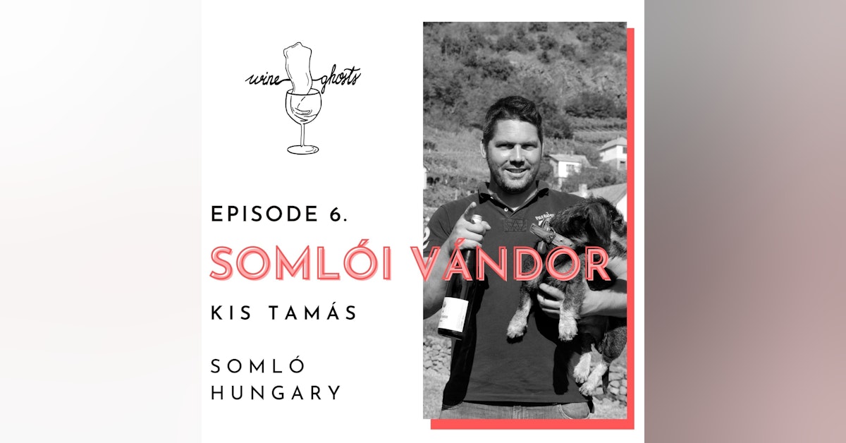 Ep 6. / Somlói Vándor aka Tamás Kis, about winemaking on "the most volcanic hill of all"