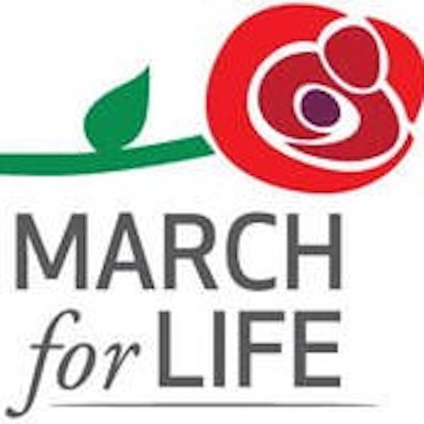 Carolina Catholic Radio Coverage of the 2022 Charlotte March For Life Image