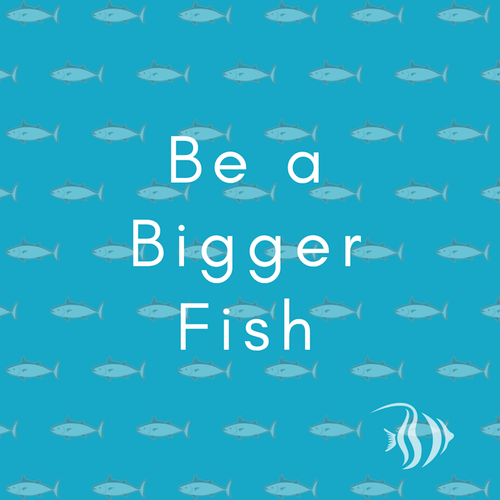 Be a Bigger Fish