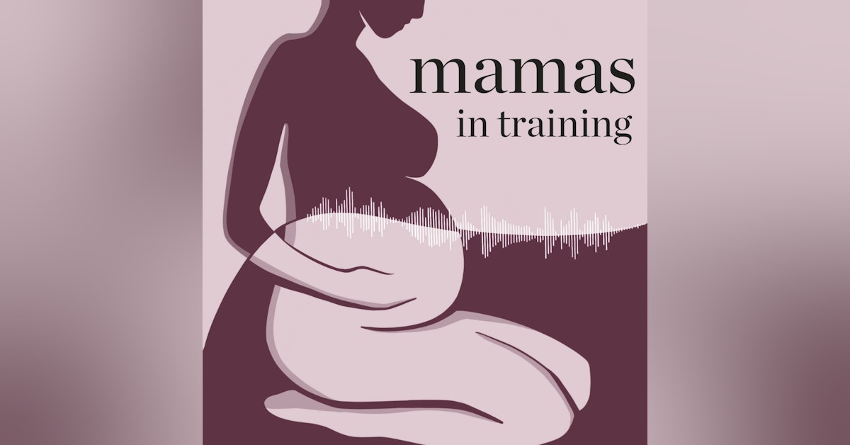 EP91- Chapters and Phases of Motherhood from a Seasoned Mama with Ilana Levine
